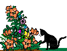cat in the garden plant - GIF animate gratis