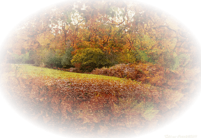 autumn landscape - δωρεάν png