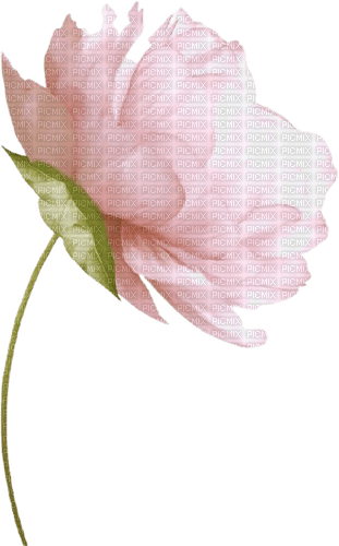 VanessaVallo _crea= vintage pink flower - Free PNG