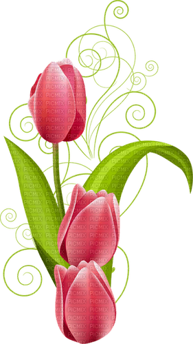 Fleur tulipe rose pink tulip flower fleurs roses - png gratuito