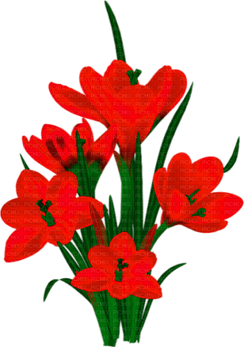 Flowers.Red - png ฟรี