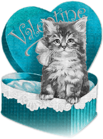 soave  vintage cat valentine deco box text - Free PNG