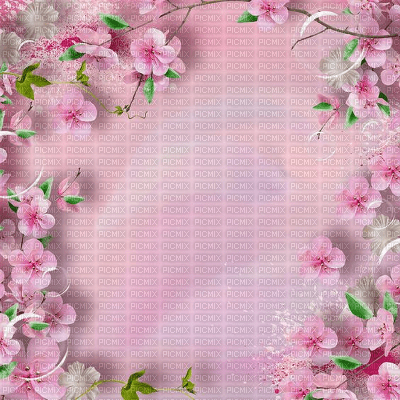 Background, Backgrounds, Flower, Flowers, Deco, Pink - Jitter.Bug.Girl - фрее пнг