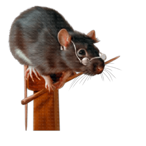 Nina mouse - ilmainen png