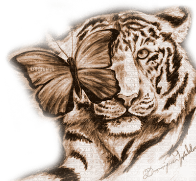 Y.A.M._Art tiger animals  Sepia - gratis png