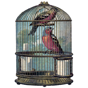 bird cage - Free PNG