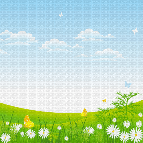 Y.A.M._Summer background flowers - zadarmo png