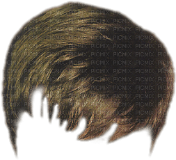 cheveux homme - gratis png