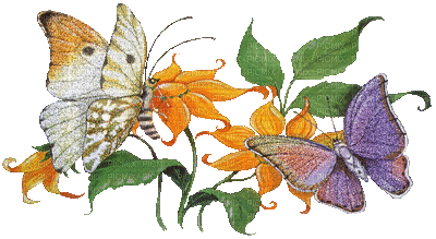 butterflies katrin - Ingyenes animált GIF