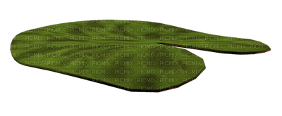 кувшинка лист - png grátis