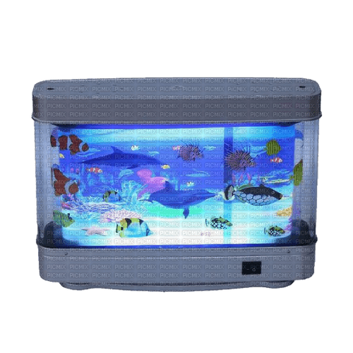 Fish tank - ingyenes png