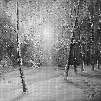 Y.A.M._Winter background black-white - Animovaný GIF zadarmo