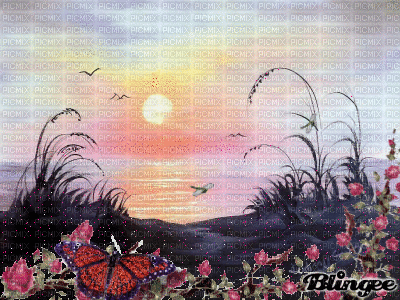 coucher de soleil - Безплатен анимиран GIF
