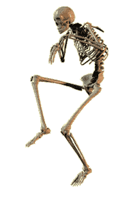 squelette - Ilmainen animoitu GIF