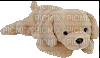 puppy toy - Bezmaksas animēts GIF