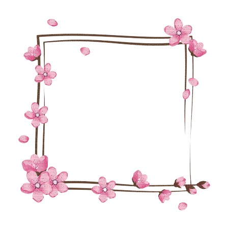 cadre fleurs - darmowe png