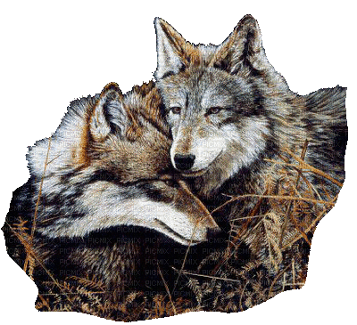wolf katrin - Gratis animeret GIF