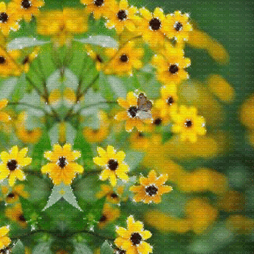 Yellow Flowers.Fond.Fleurs.gif.Victoriabea - Δωρεάν κινούμενο GIF