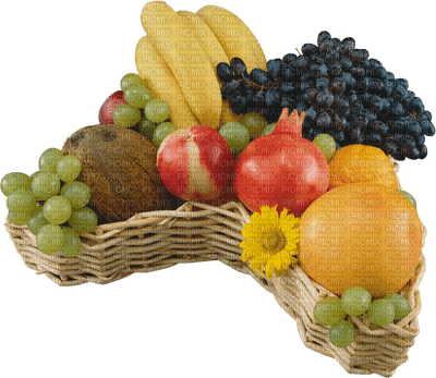 fruta - png gratuito