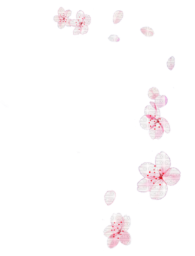 Cherry Blossoms ♫{By iskra.filcheva}♫ - bezmaksas png