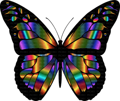 Kaz_Creations Butterflies Butterfly - фрее пнг