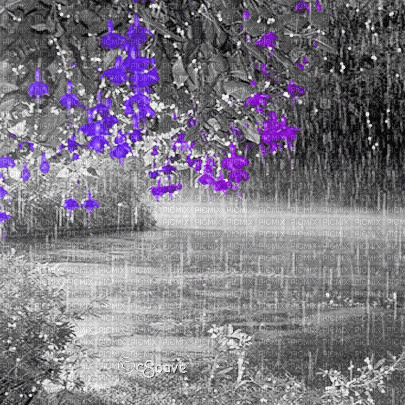 soave background animated tree flowers park rain - Besplatni animirani GIF