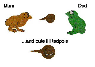 Petz Frog Family - Animovaný GIF zadarmo