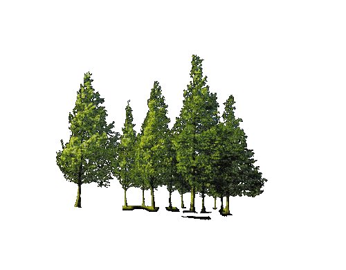 Деревья - GIF เคลื่อนไหวฟรี
