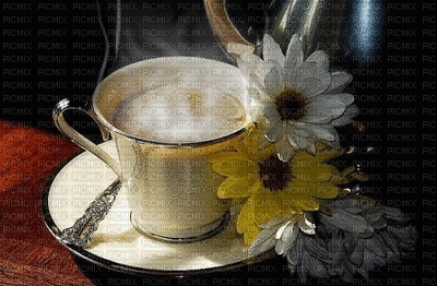 koffe- - GIF animasi gratis