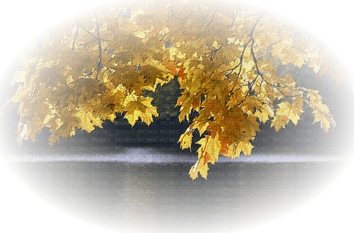 höst---autumn - png grátis