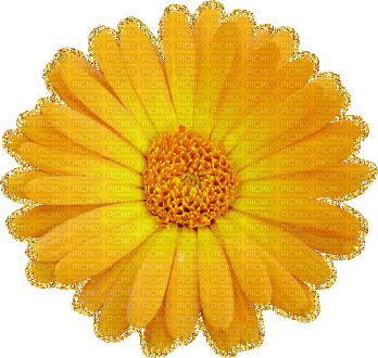 yellow flower - GIF animé gratuit
