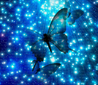 MMarcia gif borboleta  papillon blue fundo - Zdarma animovaný GIF