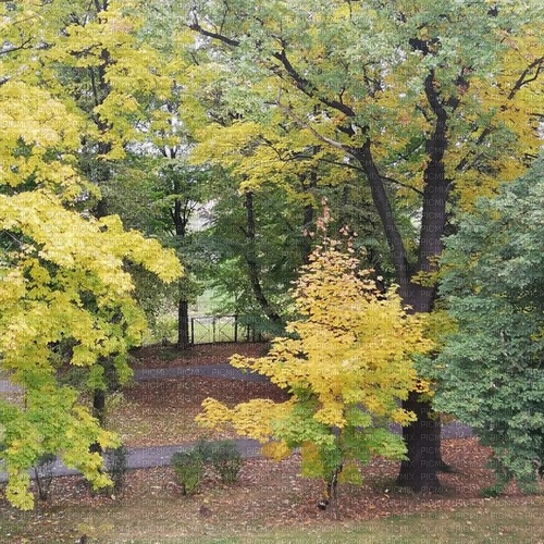 Jesień,  autumn,Background. - png ฟรี