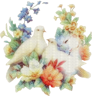 Love Doves - Gratis animerad GIF