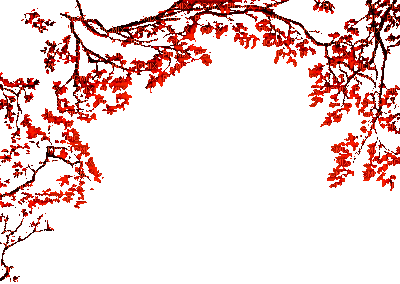 red branches gif - Бесплатный анимированный гифка