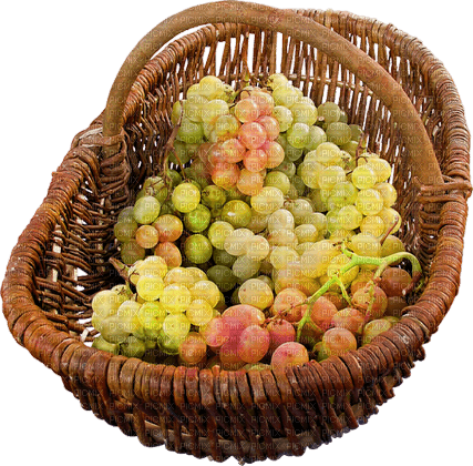 basket grapes by nataliplus - ilmainen png