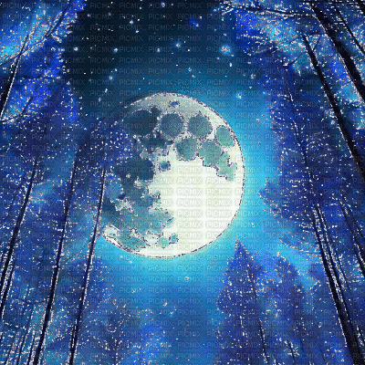 Big Bright Moon in Blue Forest - Zdarma animovaný GIF