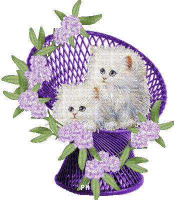 KITTIES WITH LAVENDER FLOWERS - Free animated GIF