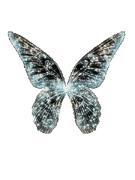 VanessaVallo _crea-fairy wings glitter animated - Free animated GIF