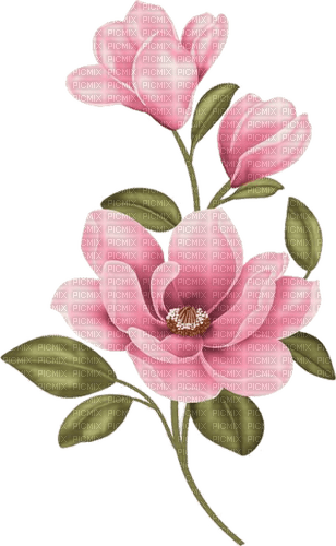 Blumen, rosa - ücretsiz png