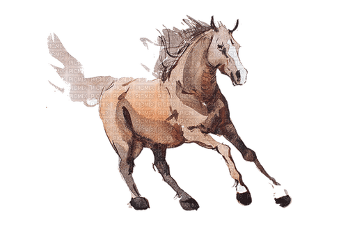 ✶ Horse {by Merishy} ✶ - Free PNG