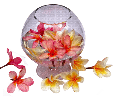 GLAS FLOWERS DECO verre fleurs - ilmainen png