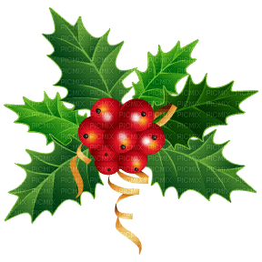 mistletoe noel - png ฟรี