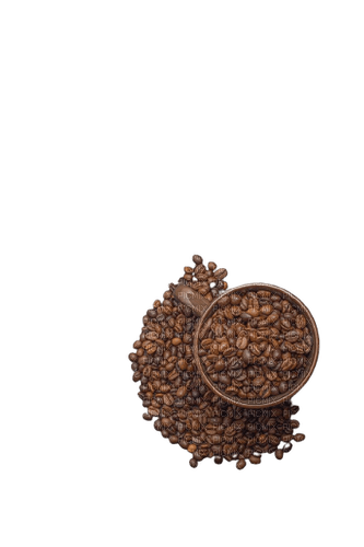 coffee cup beans - nemokama png