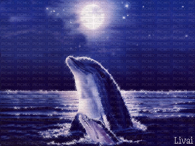 ♥Glitter dolphin♥ - Безплатен анимиран GIF
