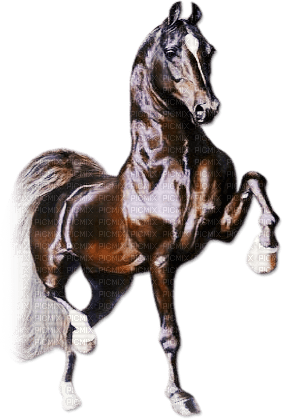 soave horse animals deco  brown - ingyenes png