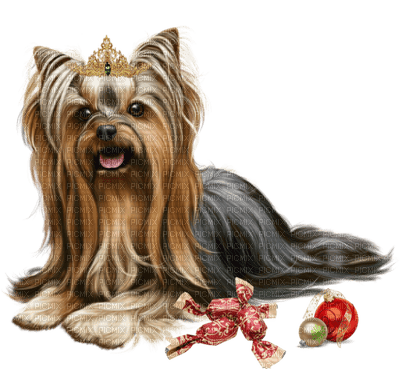 Kaz_Creations Christmas Dog Pup Dogs Colours - бесплатно png