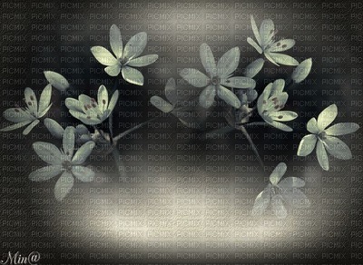 bg-grå-blommor - 無料png