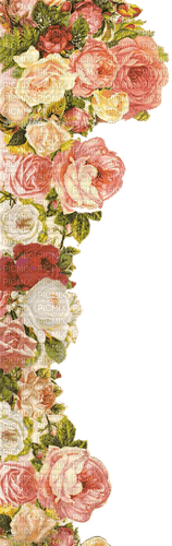 floral flower border - PNG gratuit
