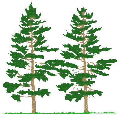 trees bp - Bezmaksas animēts GIF